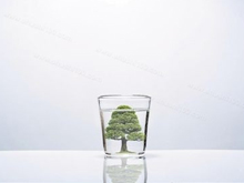 關(guān)于健康水的爭論，不得不戰(zhàn)的純水機(jī)與凈水器